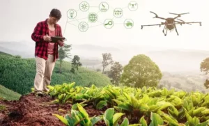 How Drones are Revolutionizing Crop Fertilization | Fertilizer Spraying Drone